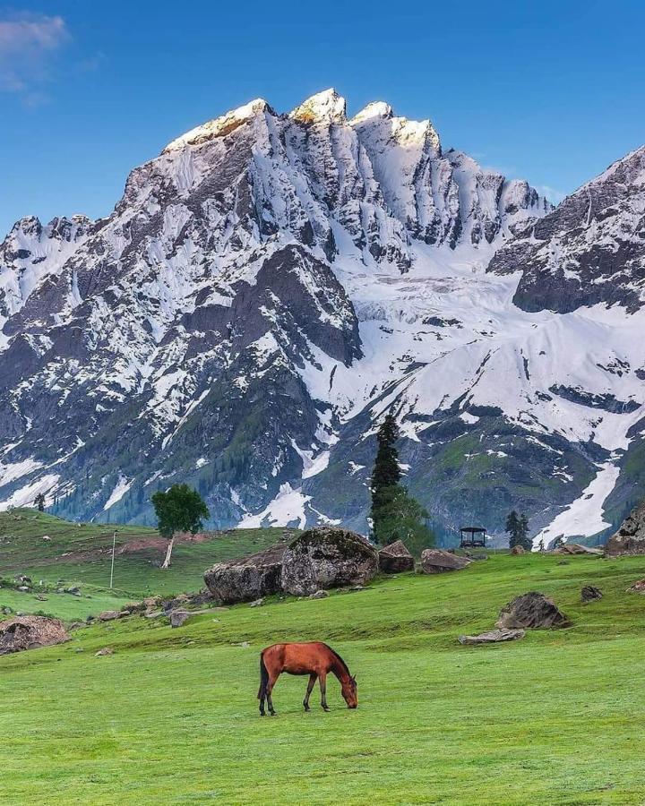 Mir Guest House Pahalgam Luaran gambar