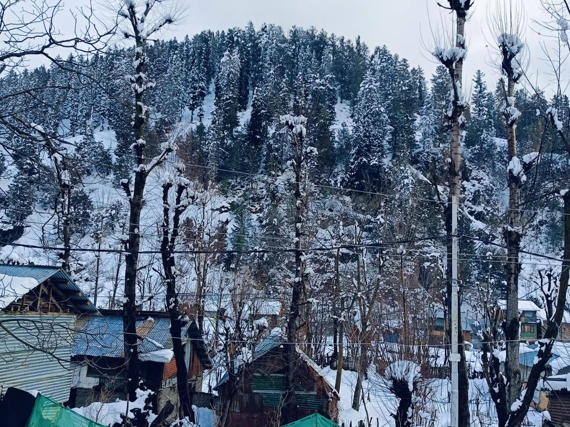 Mir Guest House Pahalgam Luaran gambar
